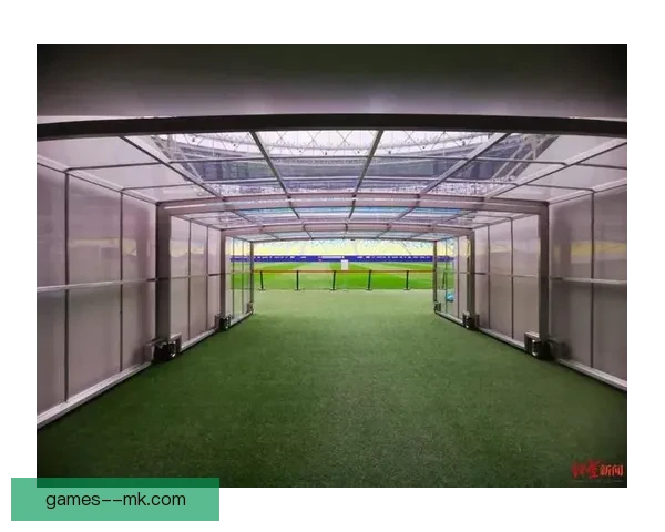 成都蓉城官宣凤凰山体育公园足球场草坪升级完成主场焕新迎新赛季